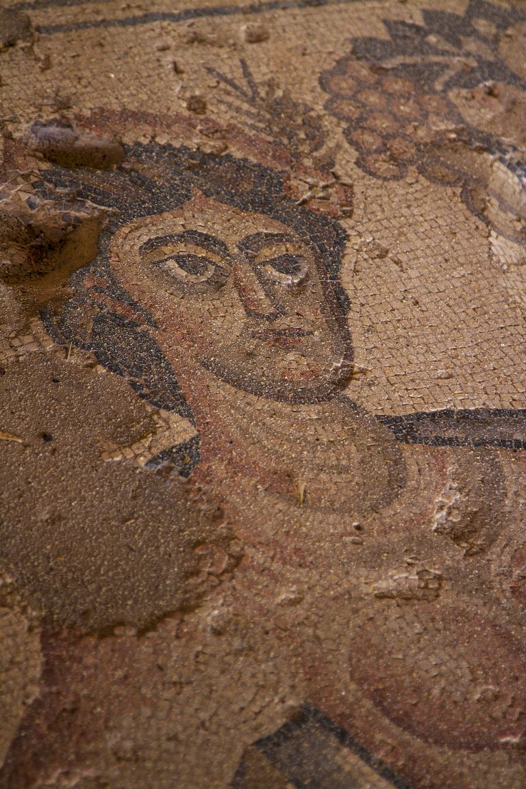 Mosaic in Zippori