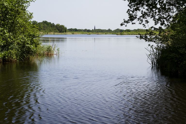 Ankeveensche Plassen