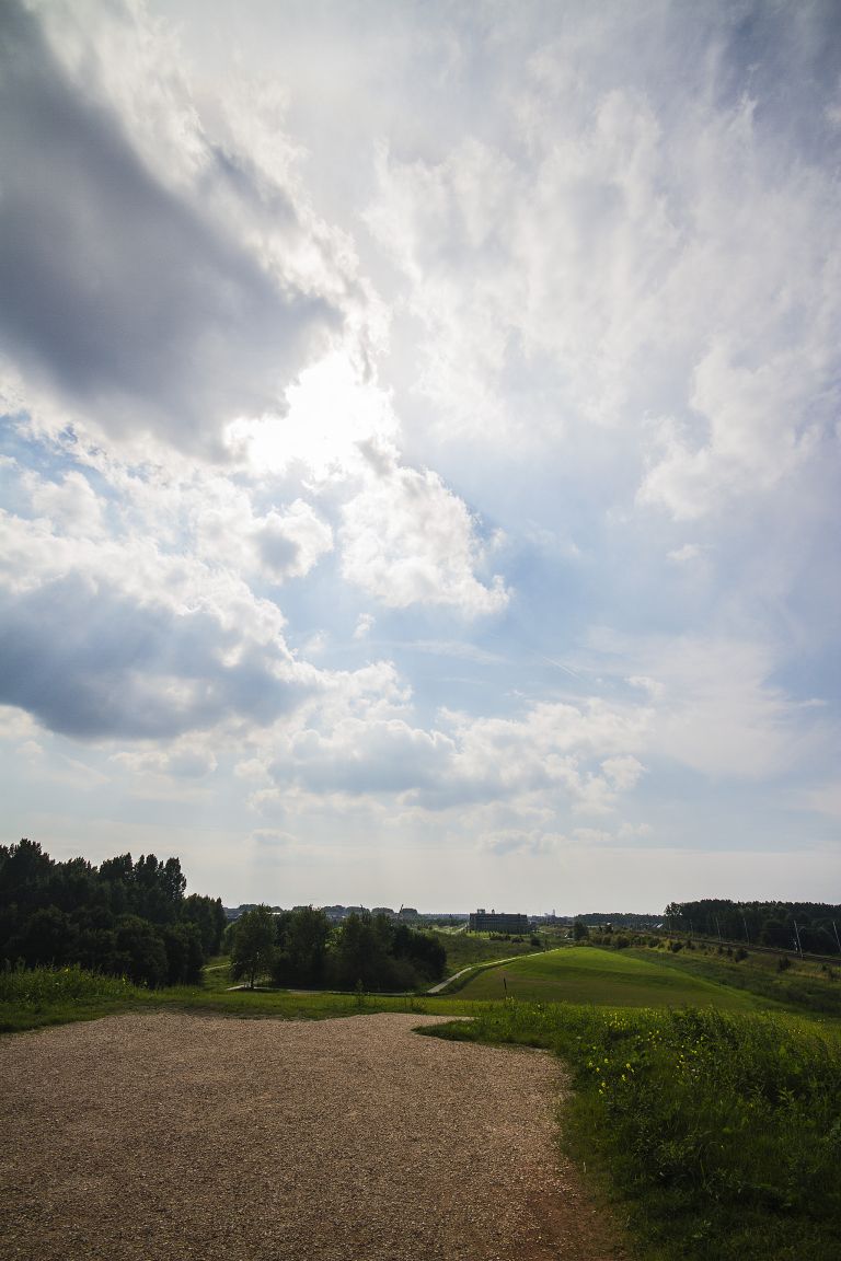 Lookout over Oostvaardersplassen