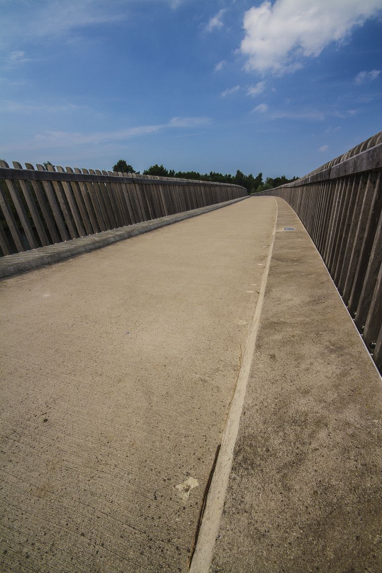 Bridge near Oostvaardersplassen