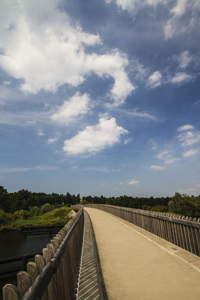 Bridge near Oostvaardersplassen