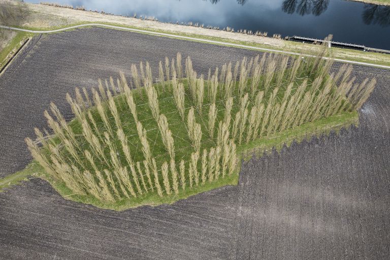 De Groene Kathedraal from the sky