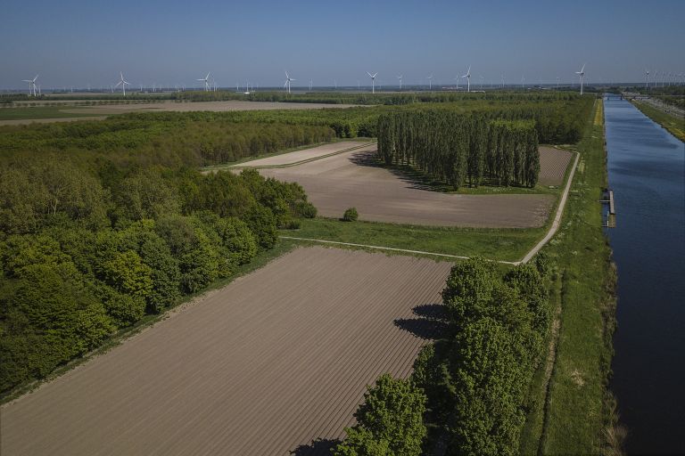 De Groene Kathedraal from my drone