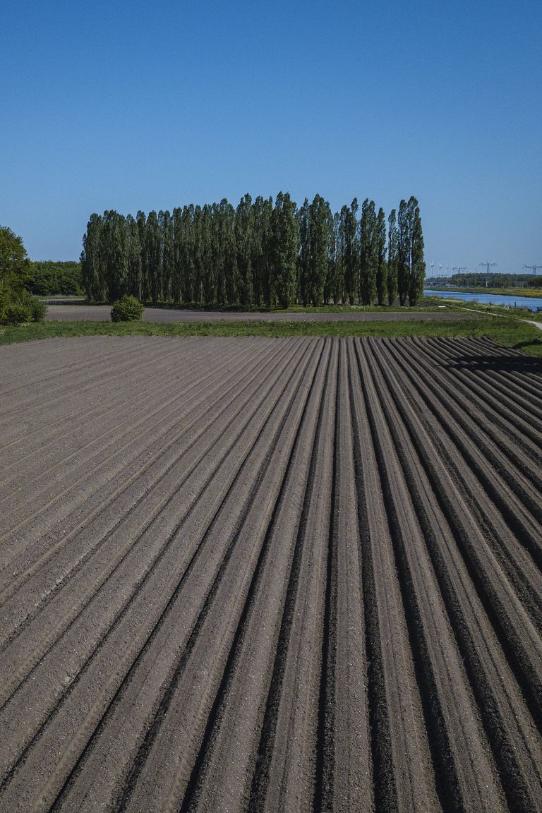 De Groene Kathedraal from my drone