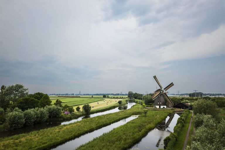 Windmill near Weesp