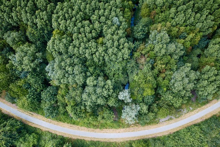 Winding road from my drone