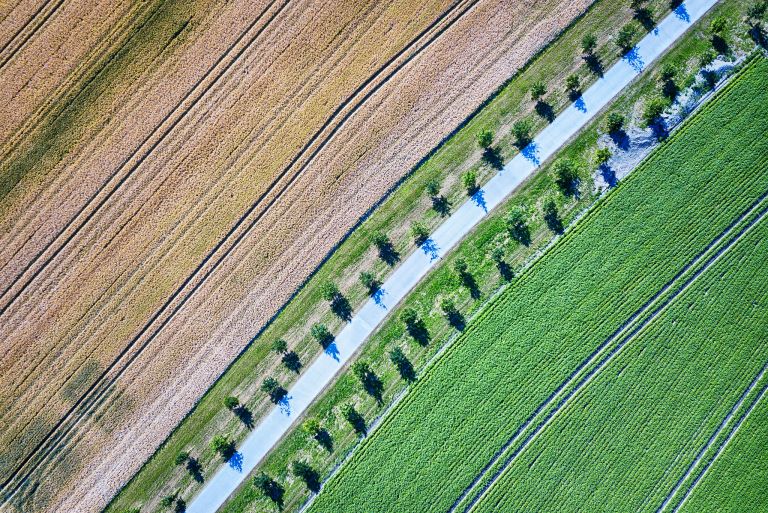 Patterns everywhere from my drone