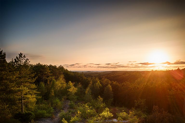 Schoorlse duinen from my drone