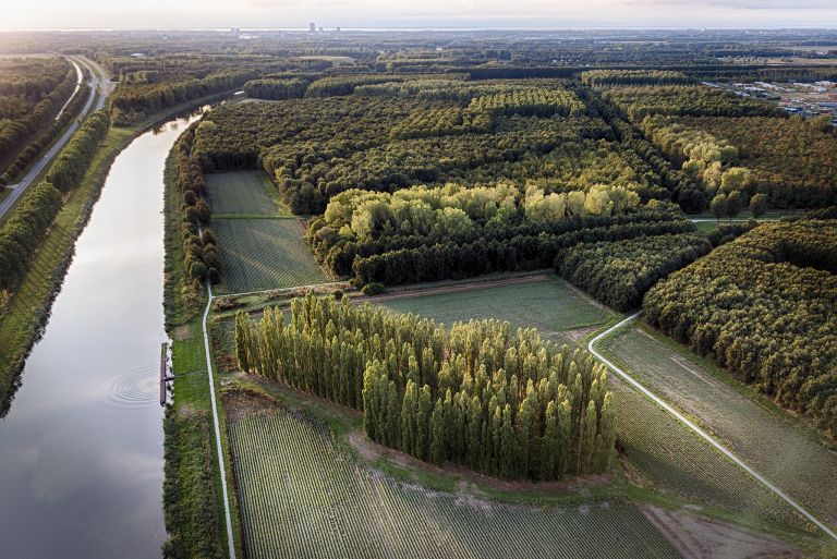 Drone sunset at De Groene Kathedraal