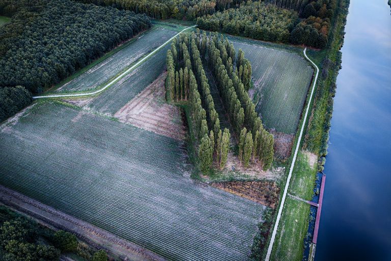 De Groene Kathedraal from my drone during sunset