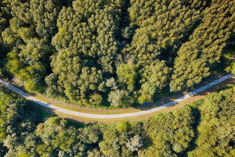 Late summer top-down drone picture of bending road