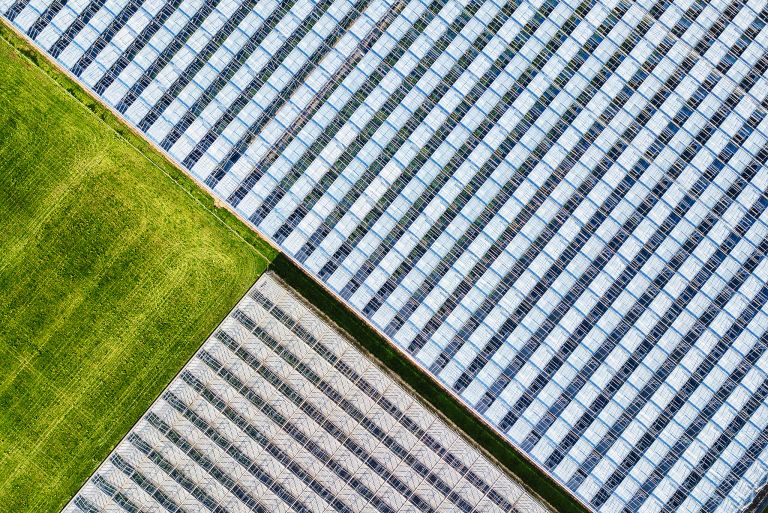 Abstract drone picture of glasshouses