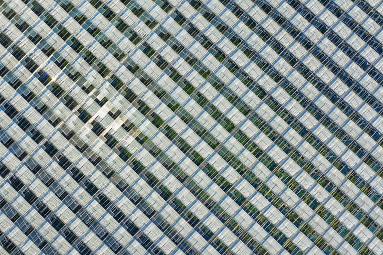 Endless rows of glass from my drone