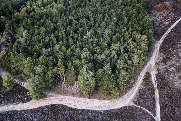 Sand paths from my drone