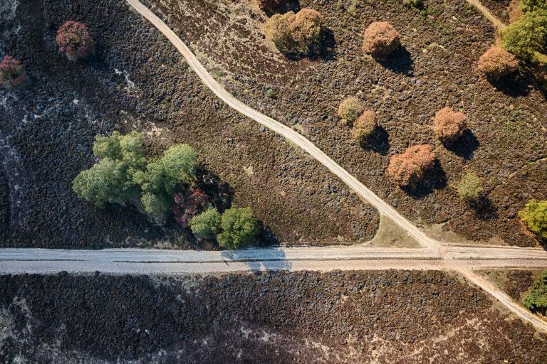 Crossroads on Bussumerheide