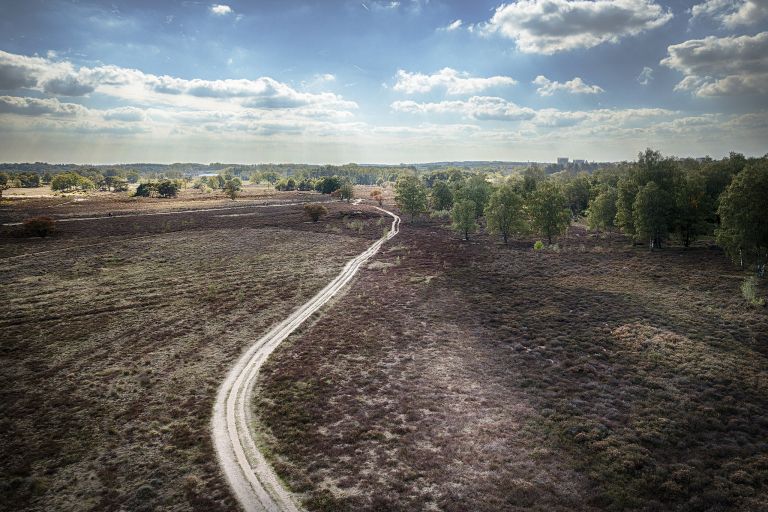 Empty road through Bussumerheide