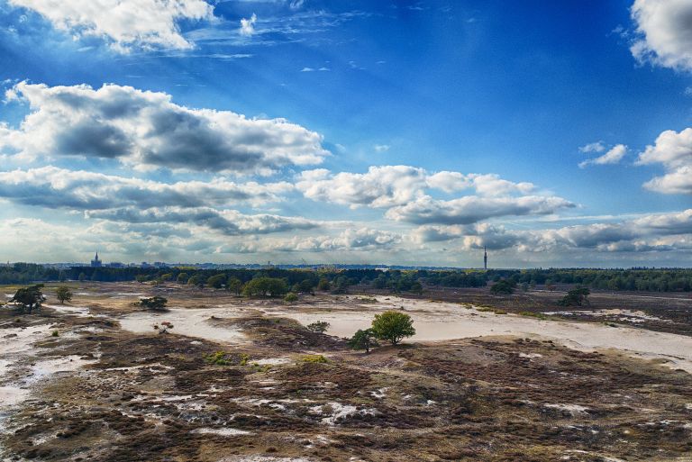 Bussumerheide dunes from my drone