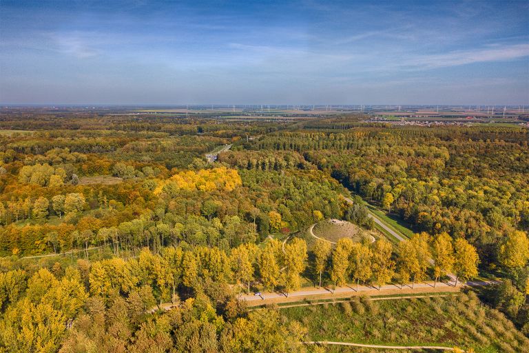 Autumn colours from my drone