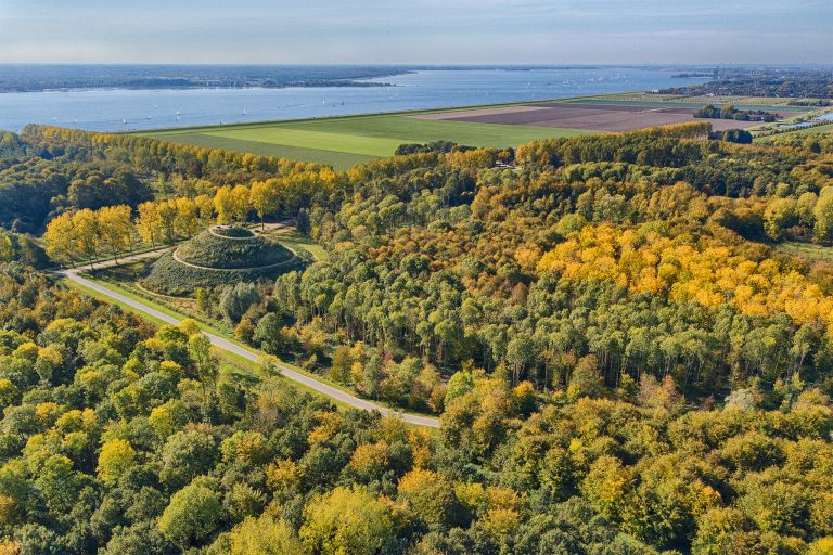 Autumn colours in the trees, as seen from my drone