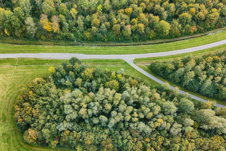 Tree surrounded junction from the air