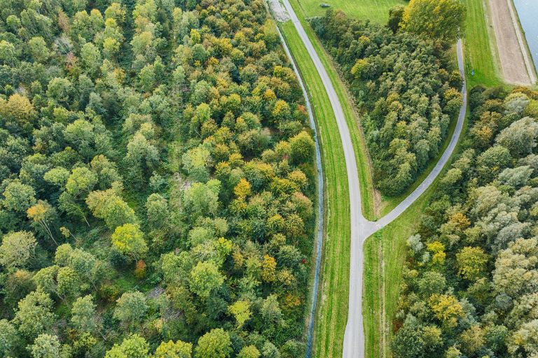 Some autumn trees from the sky