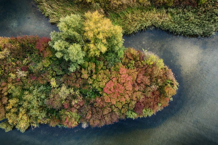 Top-down autumn island