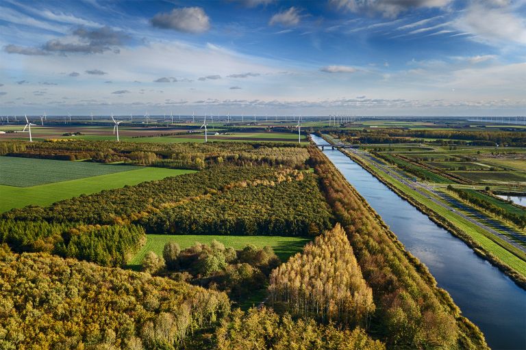 Autumn trees from my drone