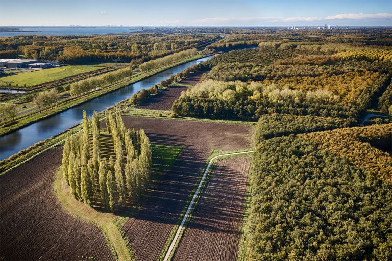 De Groene Kathedraal from my drone