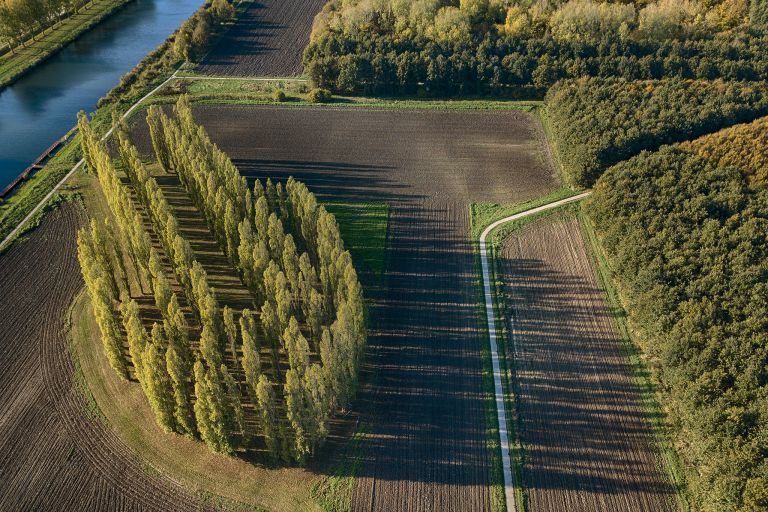 De Groene Kathedraal from my drone