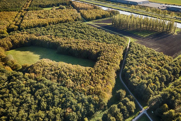 Drone picture of De Groene Kathedraal