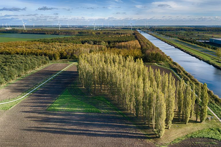 De Groene Kathedraal from my drone