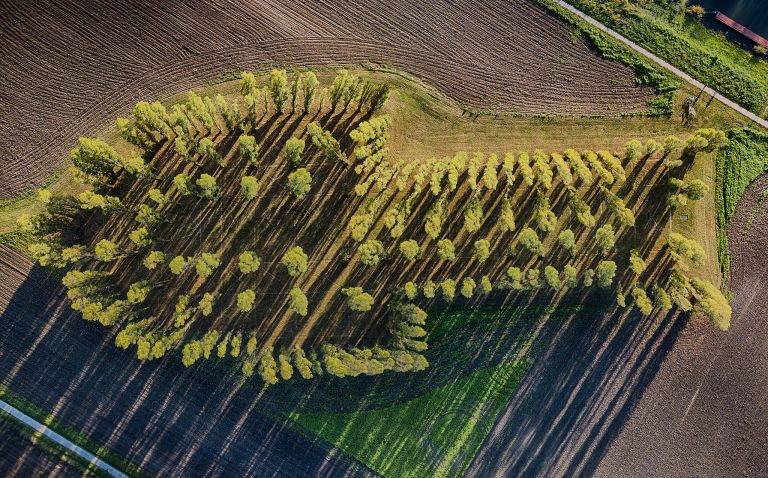 Top-down drone picture of De Groene Kathedraal