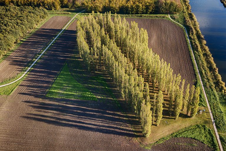 Droning over De Groene Kathedraal