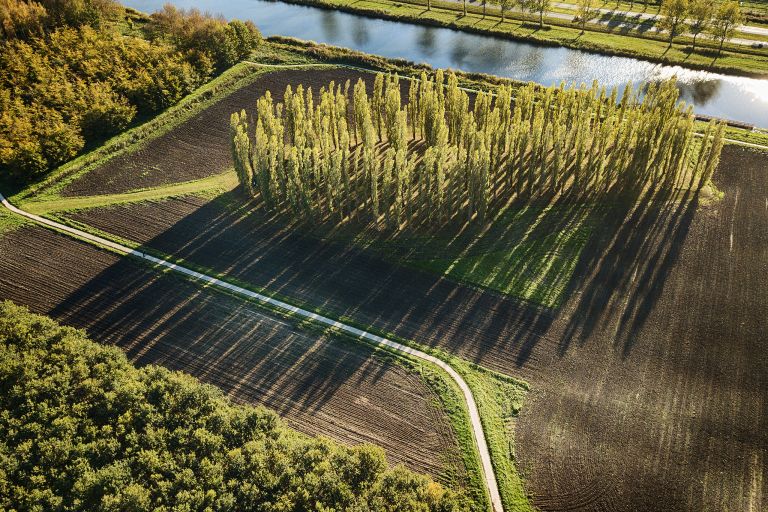 De Groene Kathedraal as seen from my drone