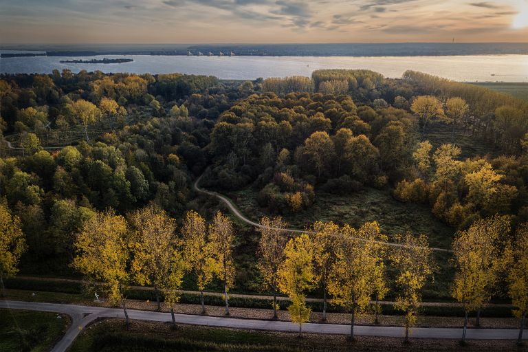 Colourful trees during sunset