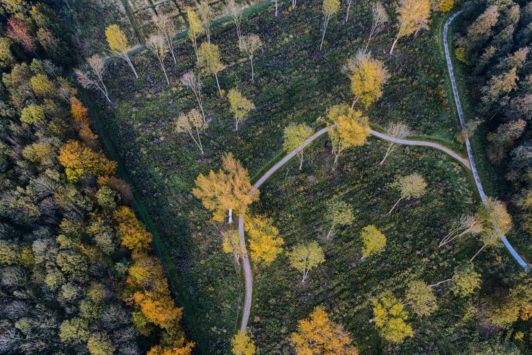 Autumn top-down from my drone