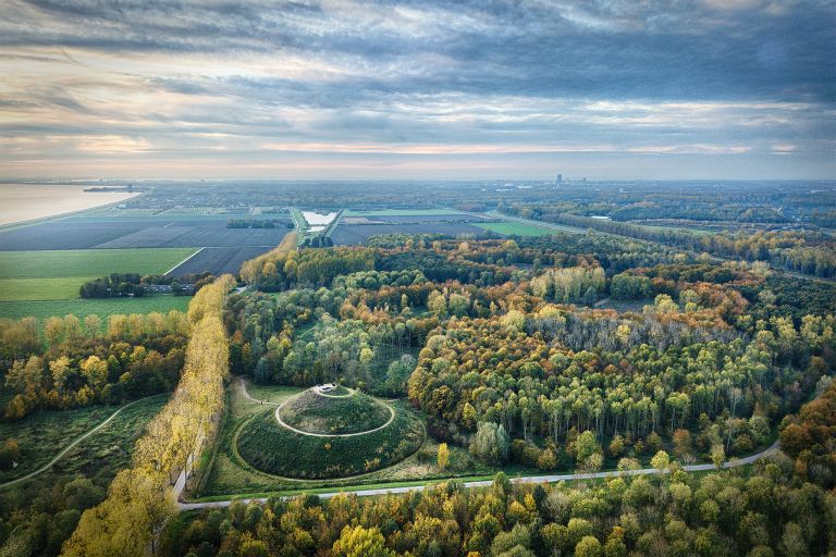 Autumn colours from my drone