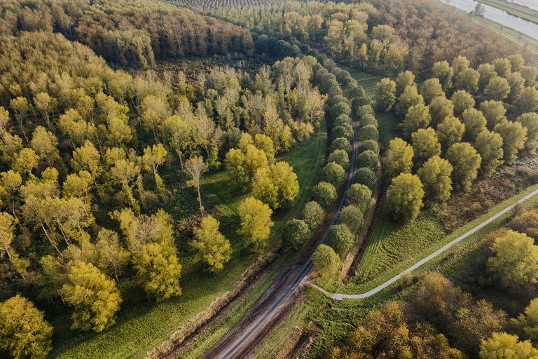 Autumn colours from my drone