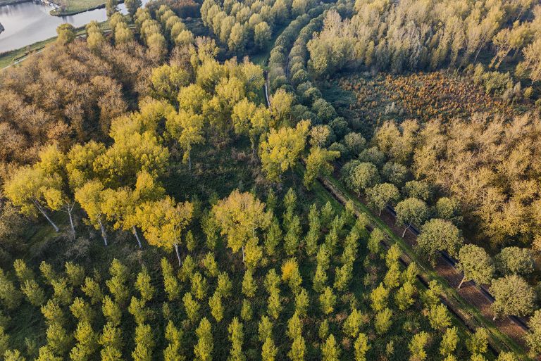 Autumn colours from my drone