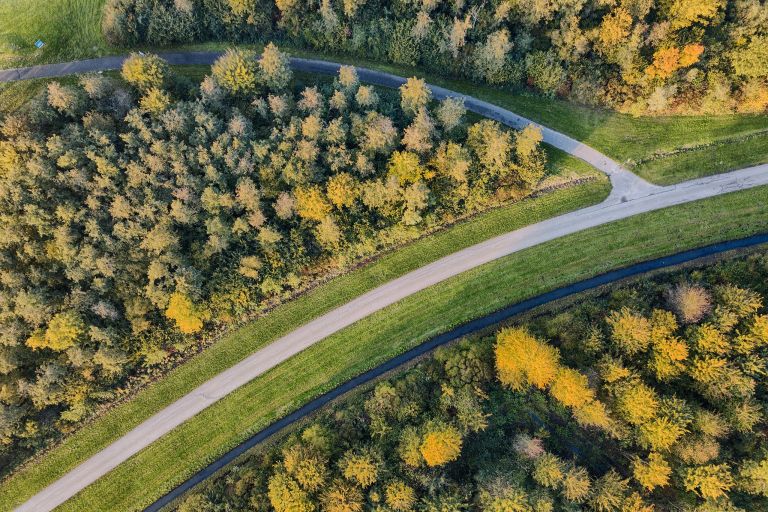 Top-down drone picture of autumn trees