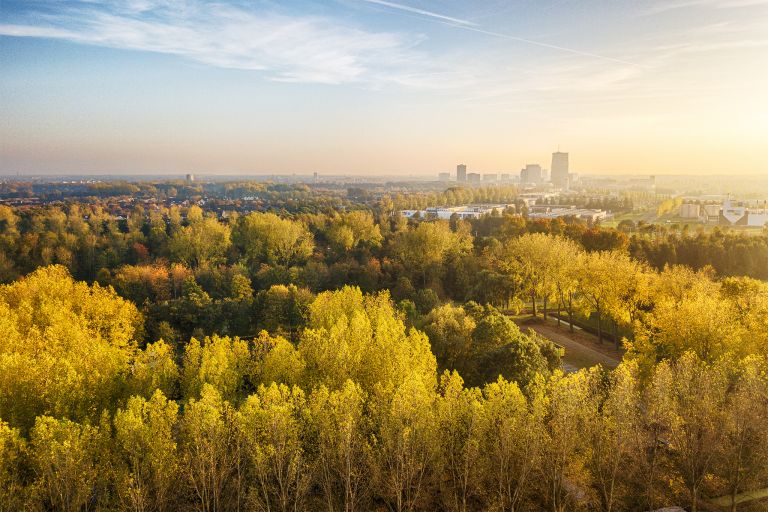 Autumn coloured trees from my drone - Libeco.nl