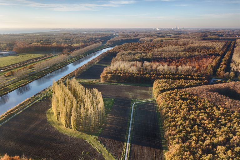 De Groene Kathedraal from my drone