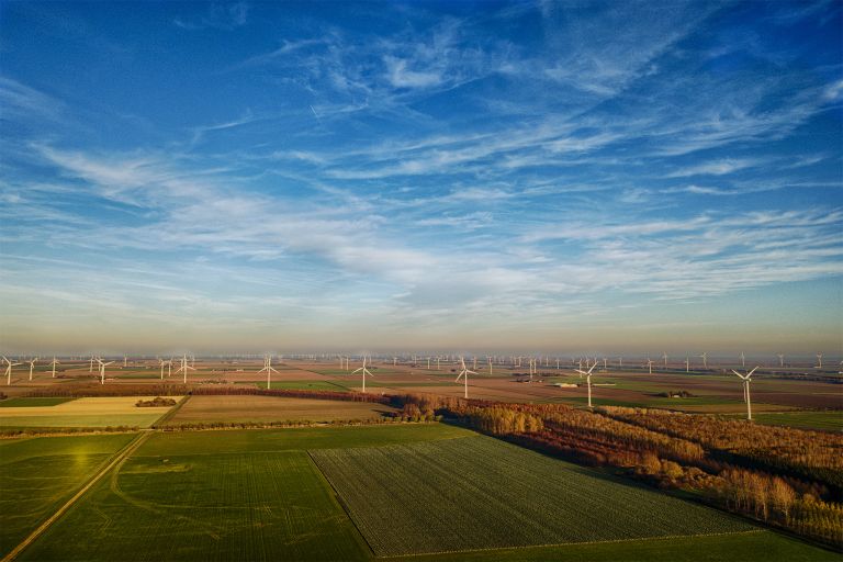 Windmills as far as the eye can see