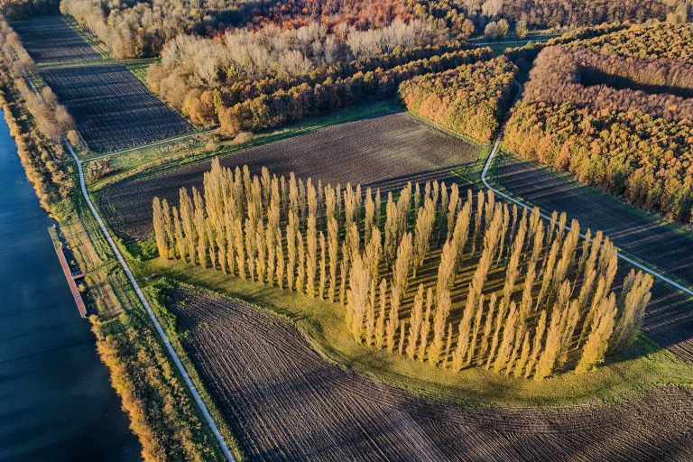 De Groene Kathedraal from my drone