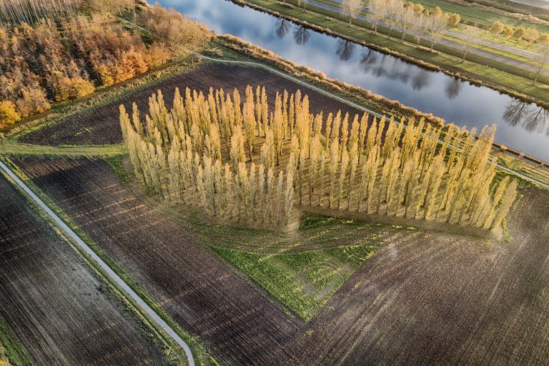 Drone picture of De Groene Kathedraal in autumn