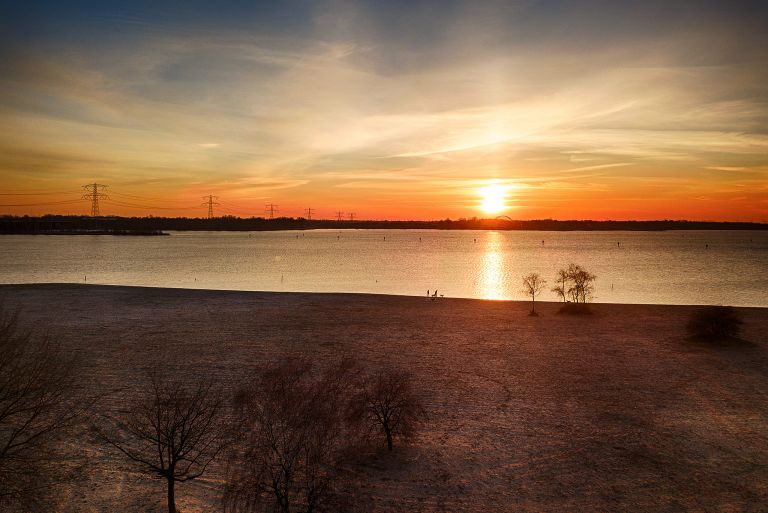 Walking dog during sunset