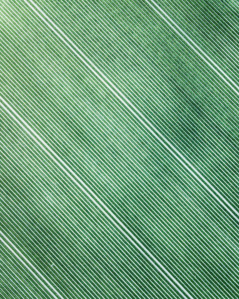 Abstract tulip field patterns from above