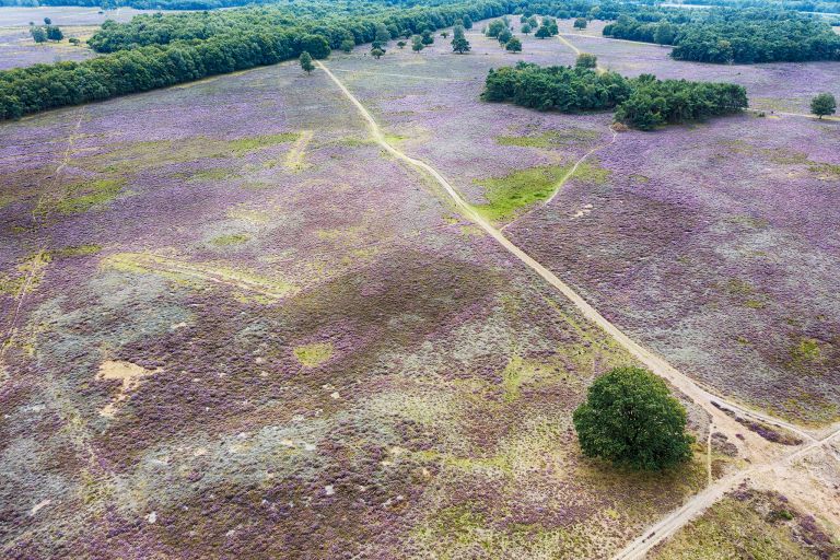 Bussumerheide from my drone