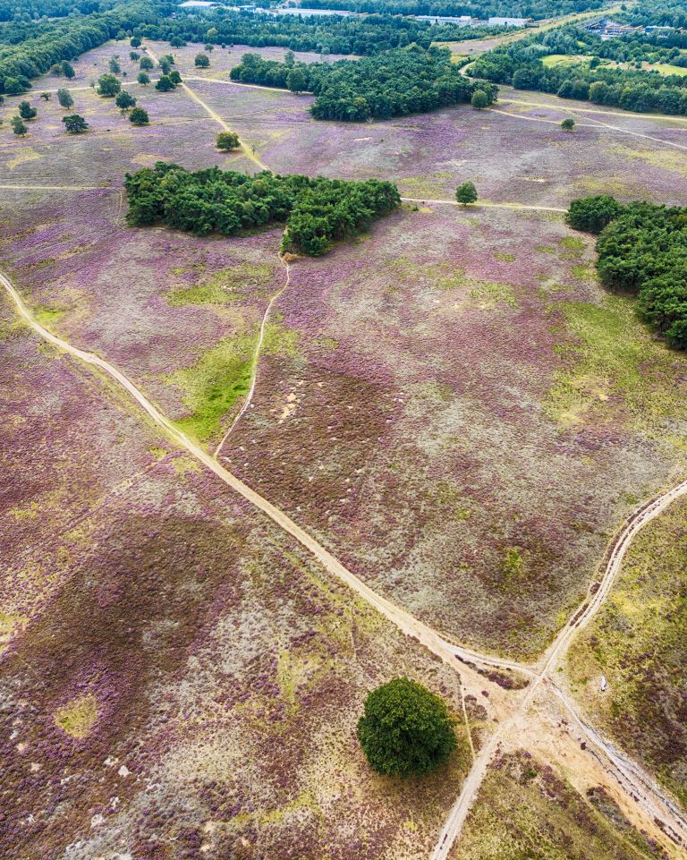 Bussumerheide from my drone