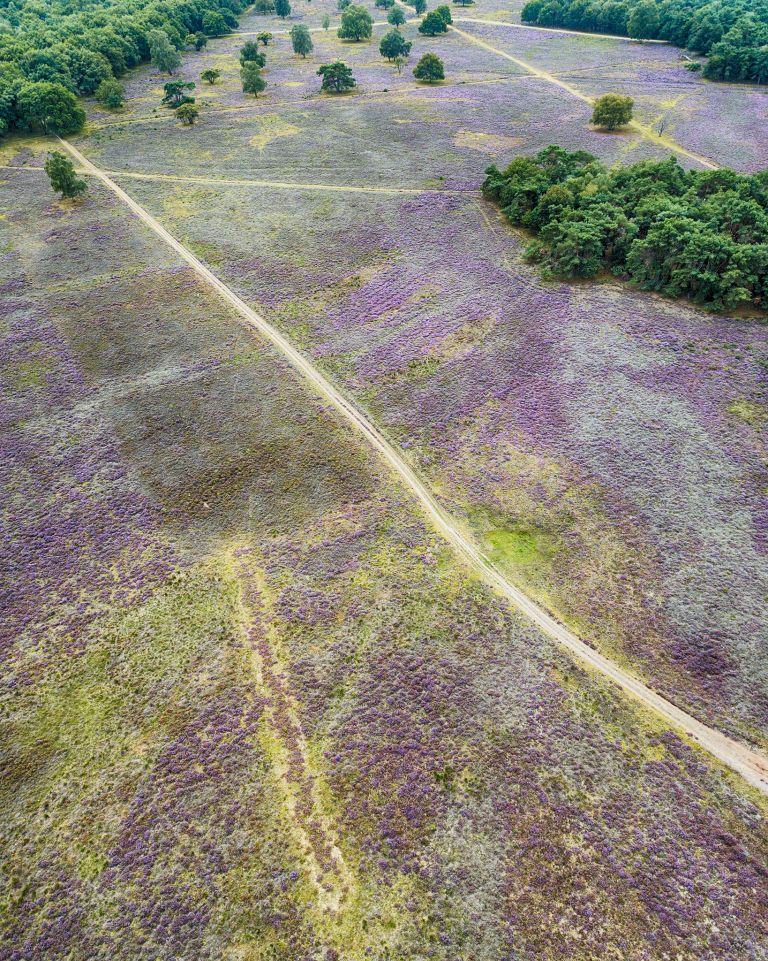 Bussumerheide from my drone